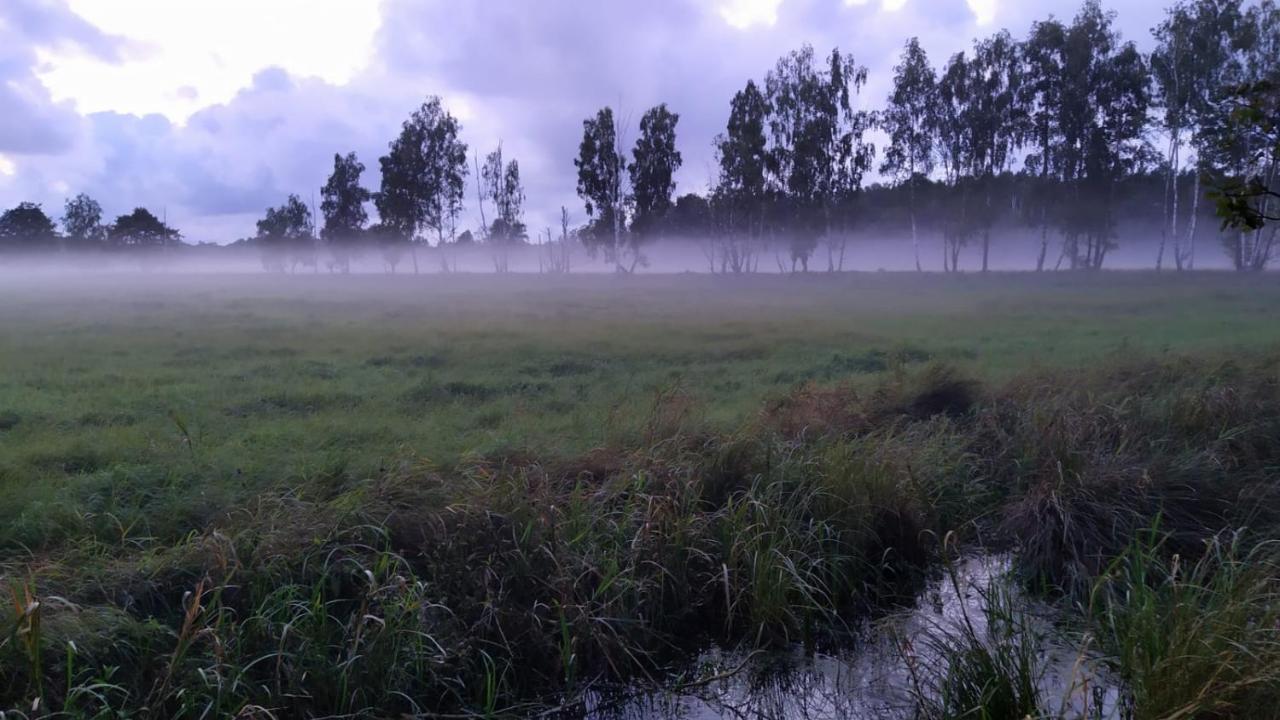 Slowinskie Widoki Domki Flora, Fauna, Noclegi สโมลจินสกีลาส ภายนอก รูปภาพ